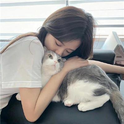 银色之翼